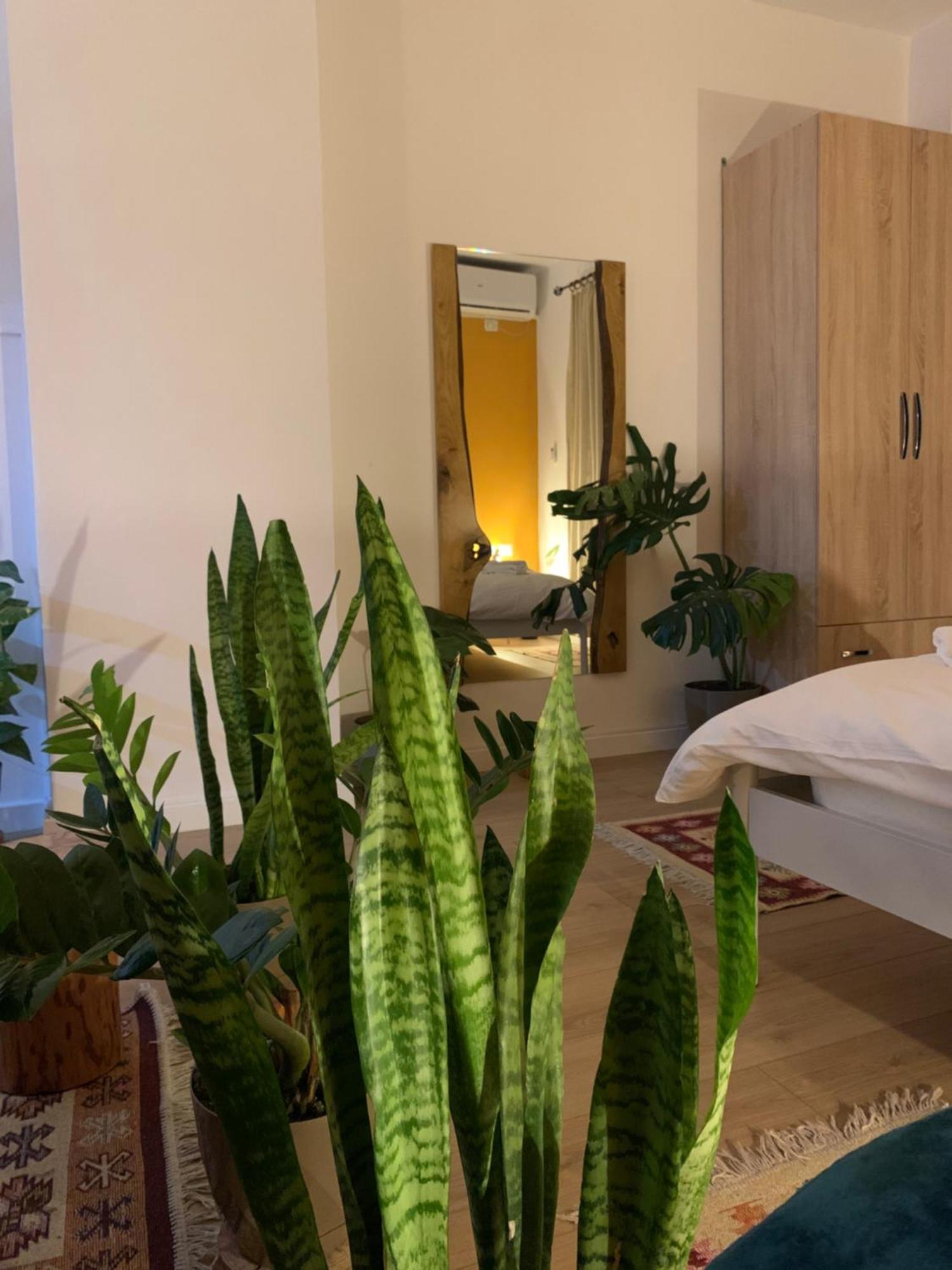 Vibe Studio Apartment Tirana Exterior photo